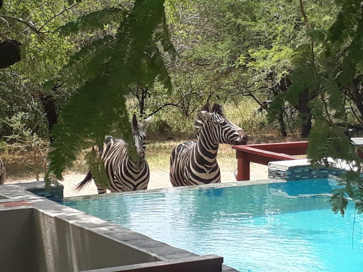 Turaco Lodge - No Loadshedding Marloth Park Zewnętrze zdjęcie