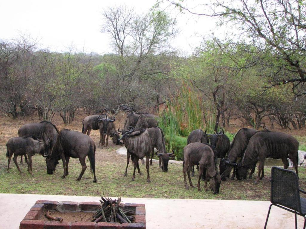Turaco Lodge - No Loadshedding Marloth Park Zewnętrze zdjęcie