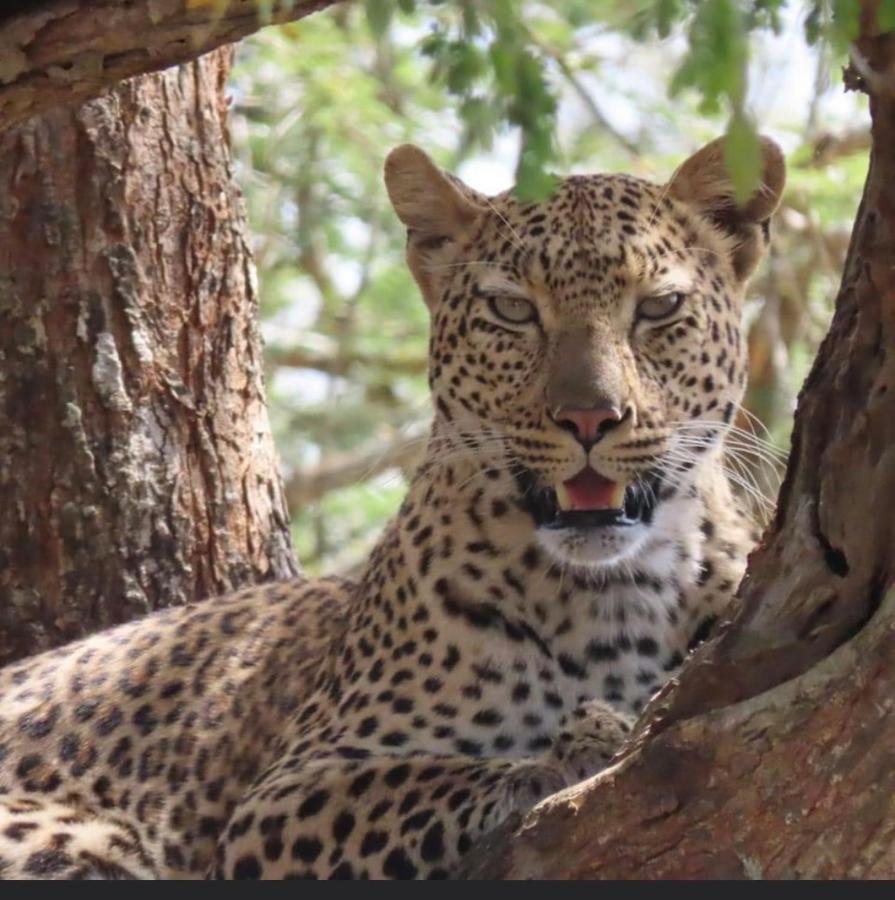 Turaco Lodge - No Loadshedding Marloth Park Zewnętrze zdjęcie