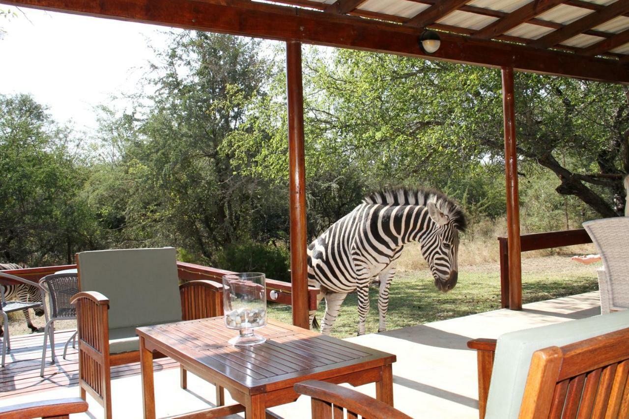 Turaco Lodge - No Loadshedding Marloth Park Zewnętrze zdjęcie